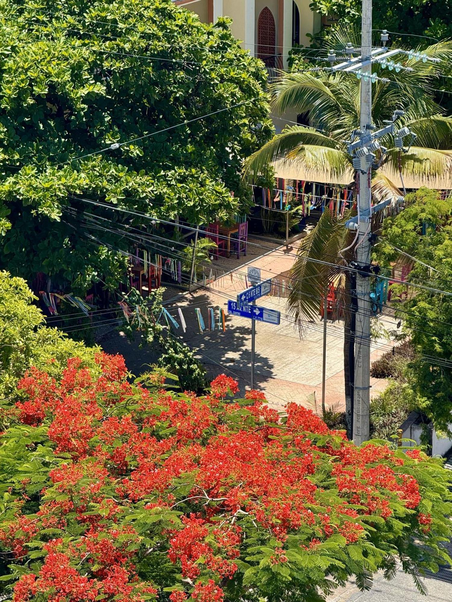 Mini Rooms By Illusion Playa del Carmen Exterior photo